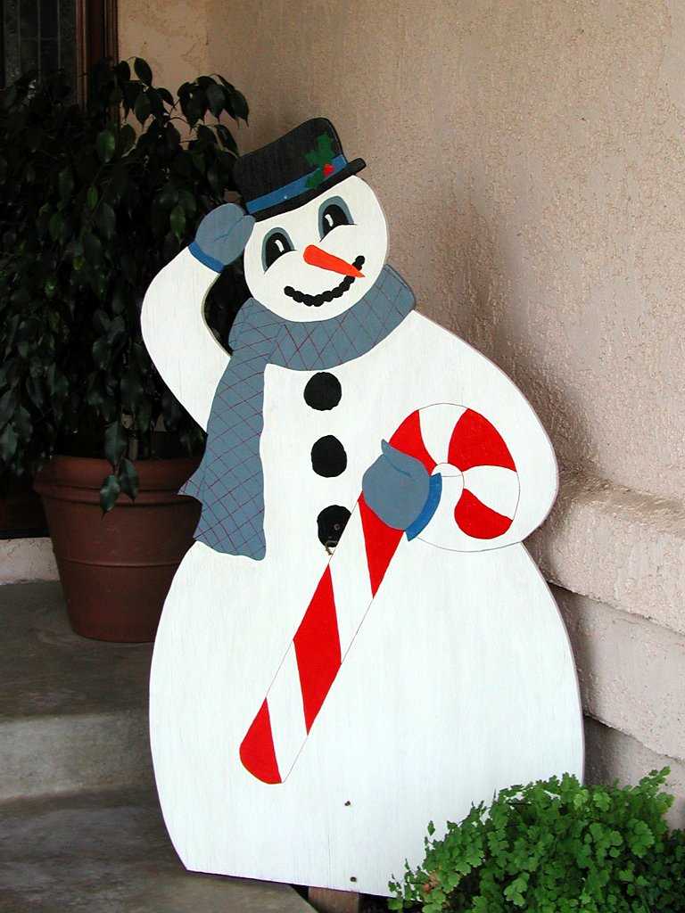 snowman 2.jpg - OLYMPUS DIGITAL CAMERA